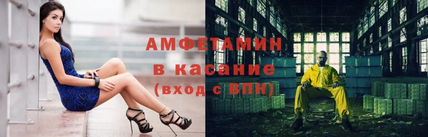 индика Няндома
