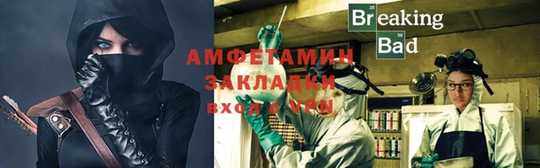 индика Няндома