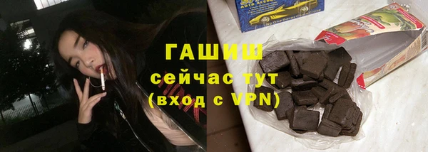 индика Няндома
