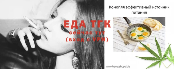 индика Няндома