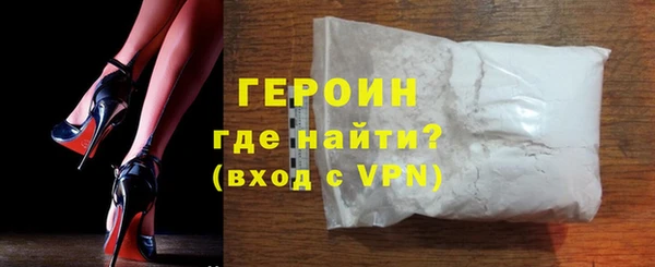 индика Няндома