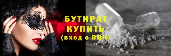 индика Няндома