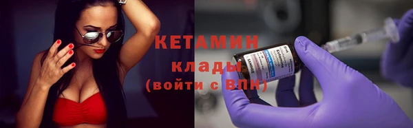 индика Няндома