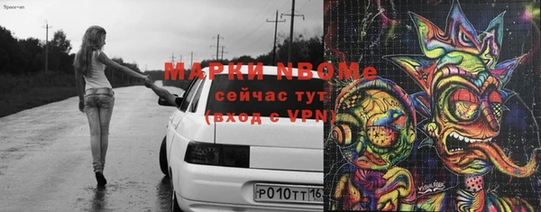 индика Няндома