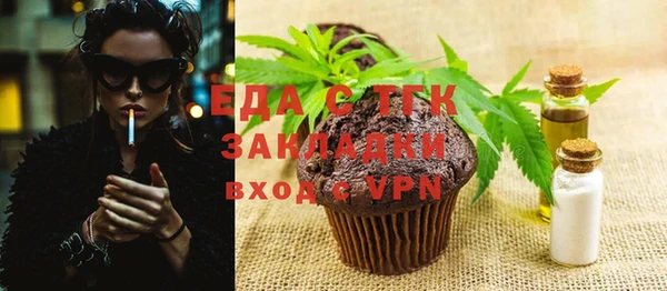 индика Няндома