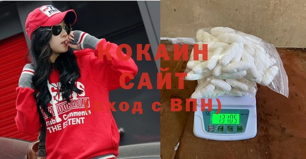индика Няндома