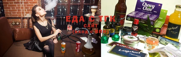 индика Няндома