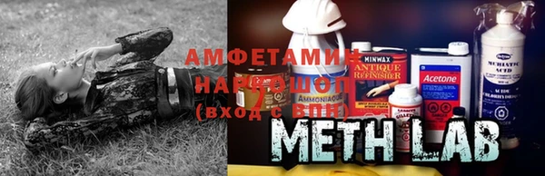 индика Няндома