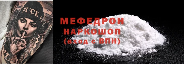 индика Няндома