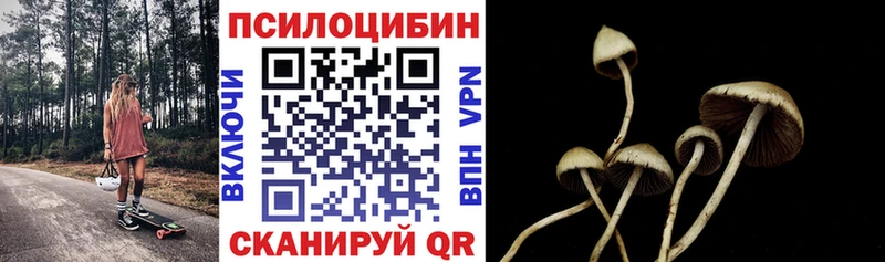 Галлюциногенные грибы ЛСД  Купить где  Козельск 