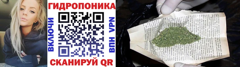 Конопля Amnesia  Купить где  Козельск 